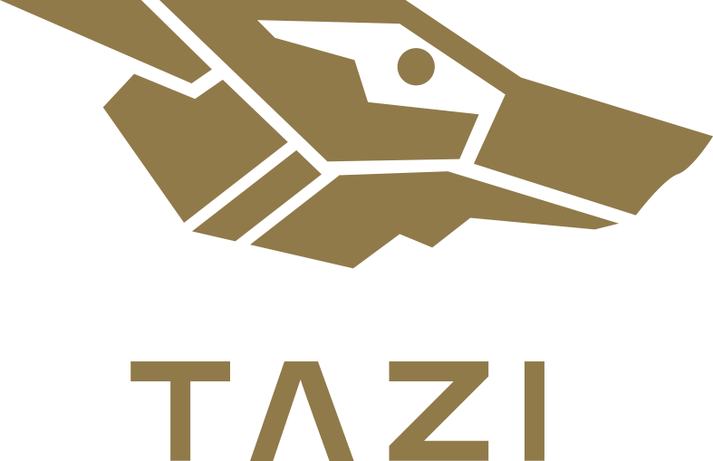 TAZI AI